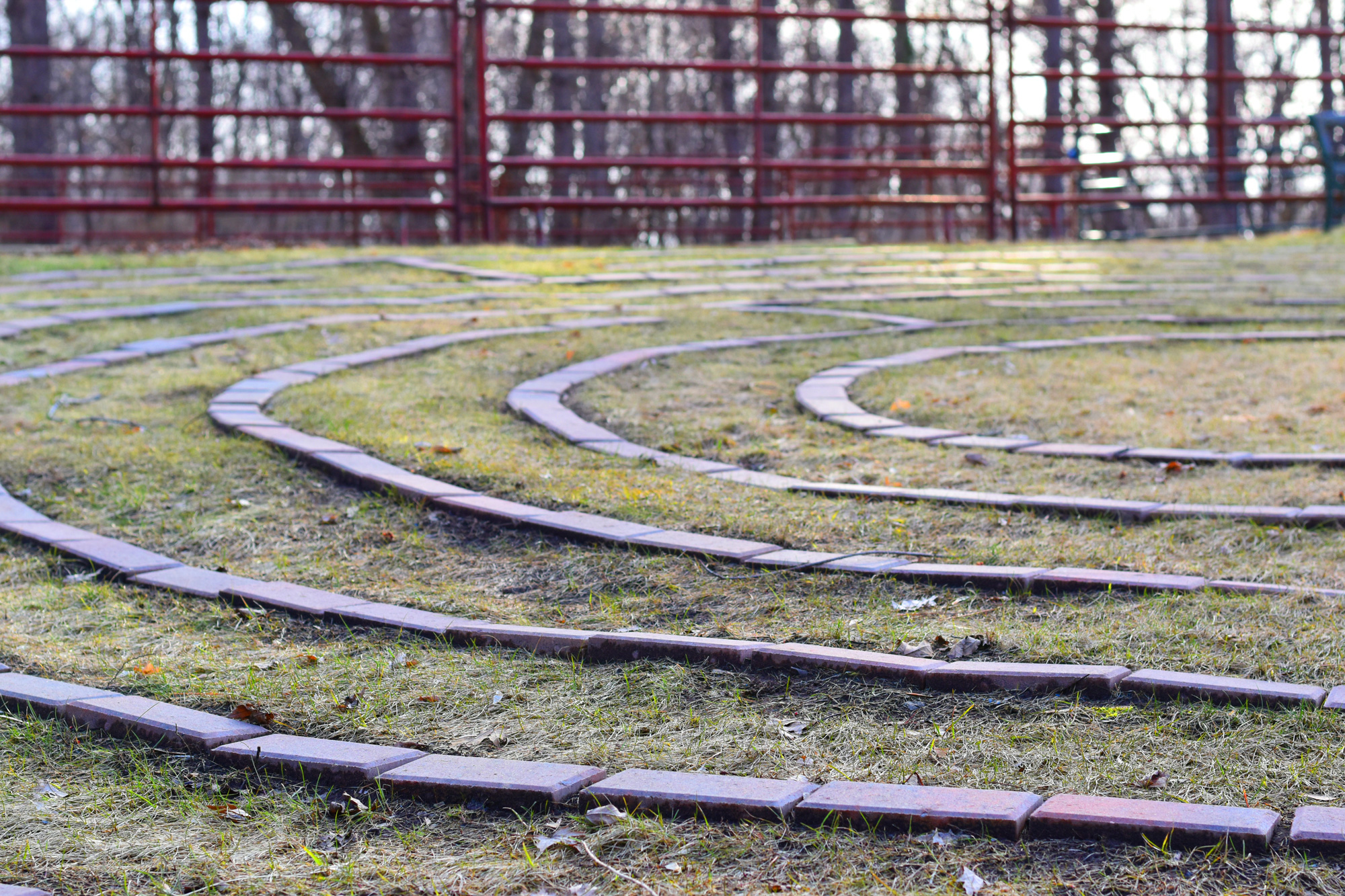 Labyrinth at Innsifree Farm